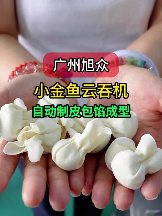 全自动小金鱼馄饨机,自动制皮包馅成型,不占地方生产高效