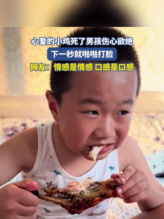 心爱的小鸡死了男孩伤心欲绝，下一秒就啪啪打脸