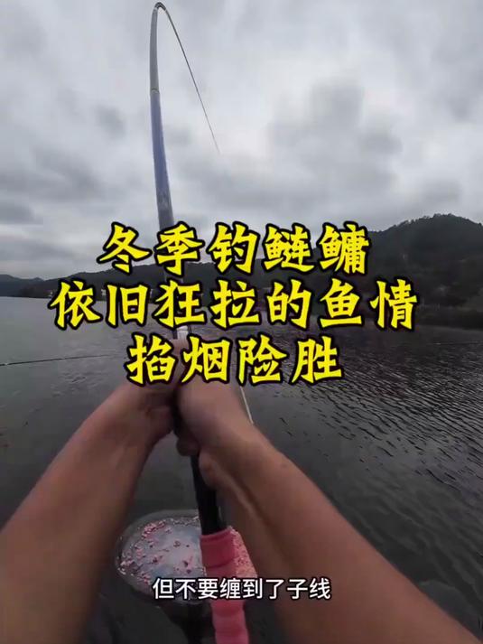 桃江电站冬季鲢鳙依旧暴躁鱼情，与旁边两位大哥掐鱼险胜#钓鱼##真实户外#