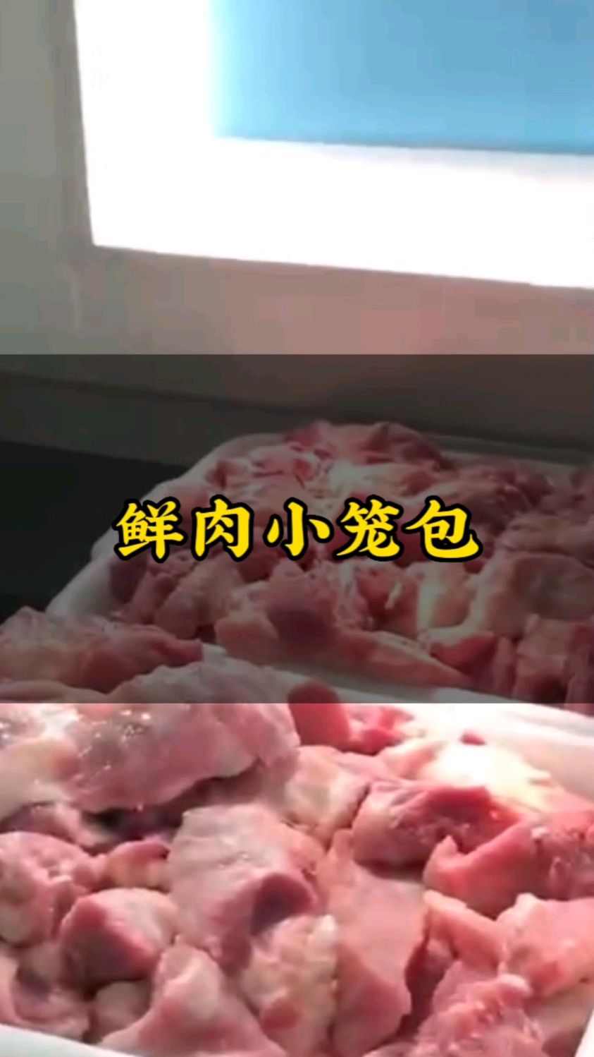 鲜肉小笼包他来了