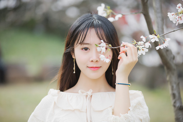图片[10]-三生三世，百里樱花-六色网