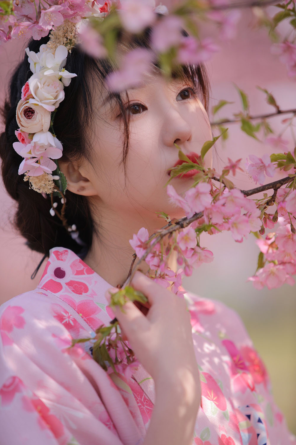 图片[7]-樱花-六色网