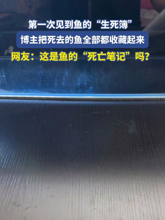 第一次见到鱼的“生死簿”,博主把死去的鱼全部都收藏起来