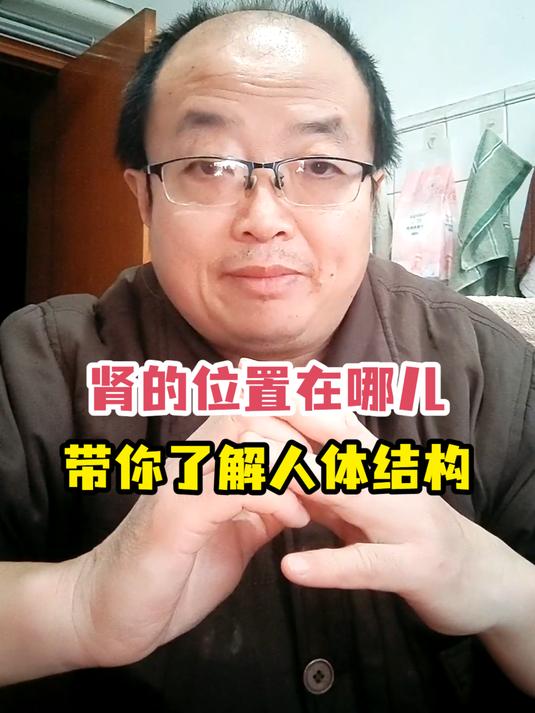肾的位置在哪儿带你了解人体结构