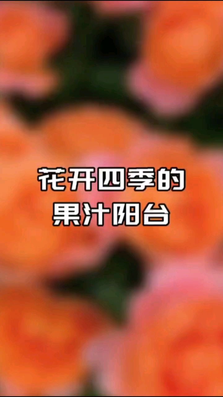 很多人养了果汁阳台就后悔了,因为每天都想发朋友圈