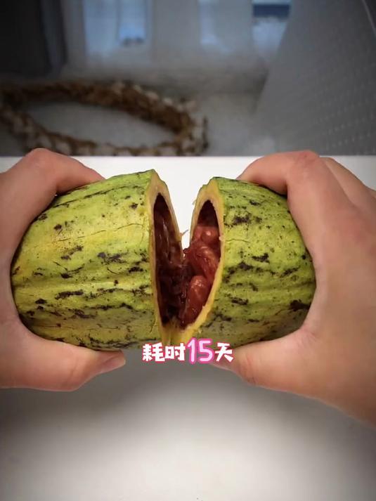 耗时15天,用可可果自制巧克力