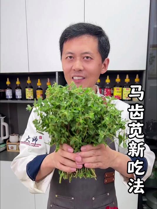马齿苋新吃法