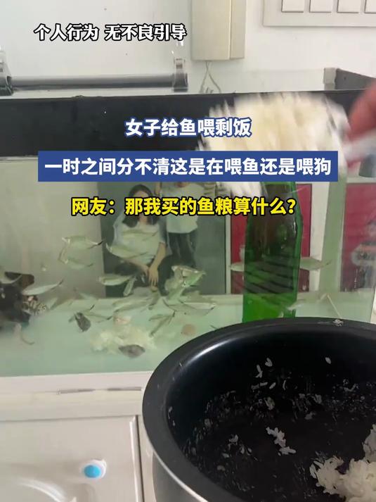 女子给鱼喂剩饭,一时之间分不清这是在喂鱼还是喂狗,网友:那我买的鱼粮算什么?