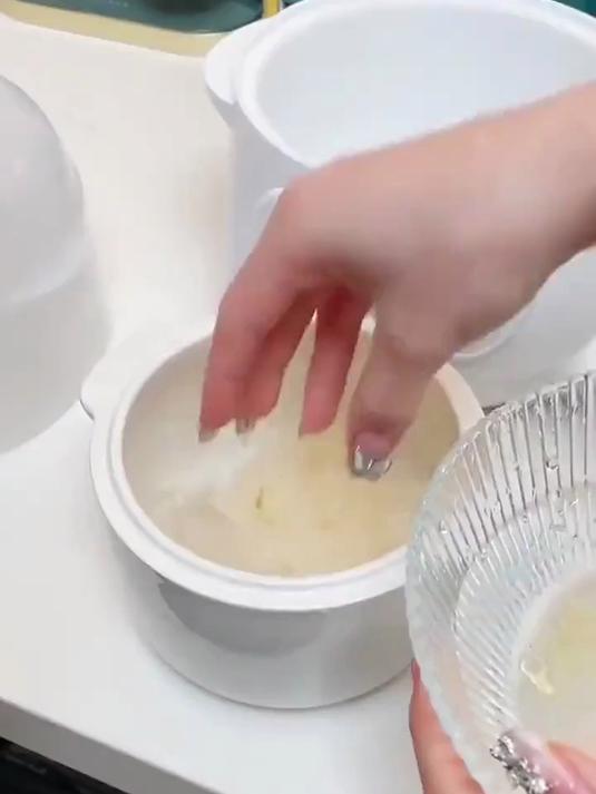 志高电炖锅婴儿辅食锅电炖盅炖汤隔水炖家用全自动煮粥