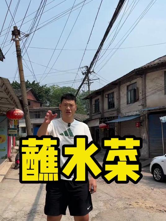 来自贡咋能不吃吃蘸水菜 这个蘸水是真的辣 我服辣