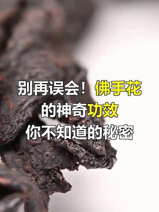 佛手花的功效与作用