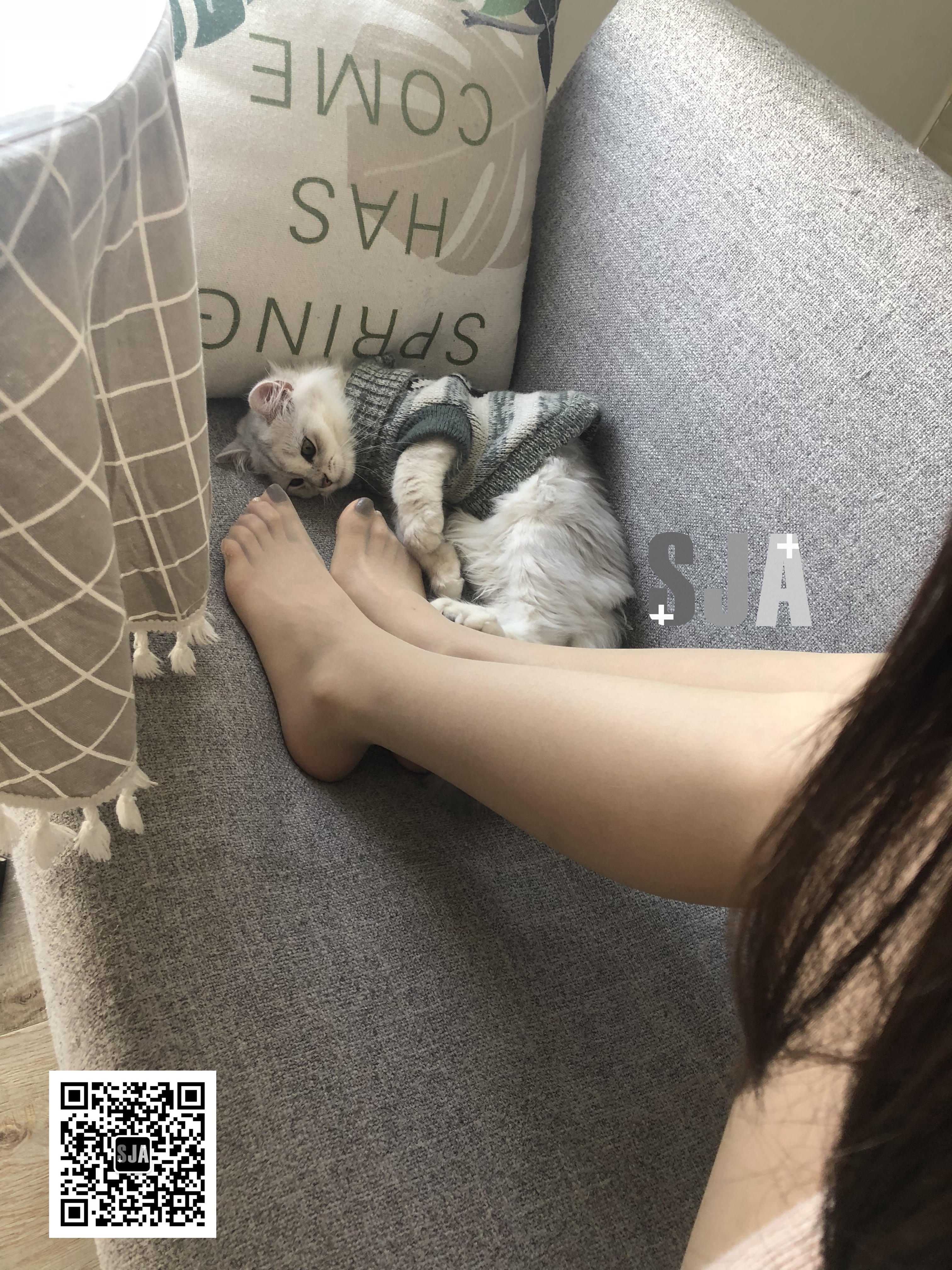 图片[21]-[SJA佳爷]闺蜜视角 NO.013 喵 [60P+81M]-六色网