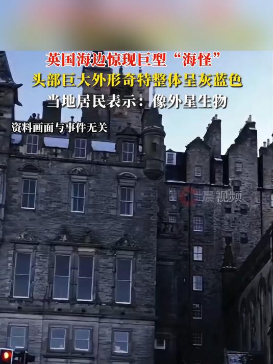 英国海边出现巨型“海怪”,头部巨大外形奇特整体呈灰蓝色