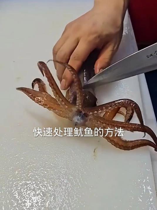 处理鱿鱼的技巧