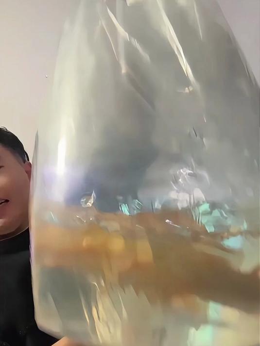 比电鳗还大的巨型清道夫！电鳗差点力竭而亡～