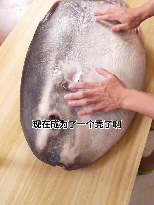 矛尾翻车鱼，听说它的鱼肠特别美味，我来尝尝味道！