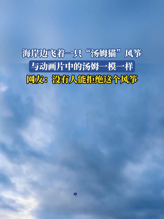海岸边飞着一只“汤姆猫”风筝