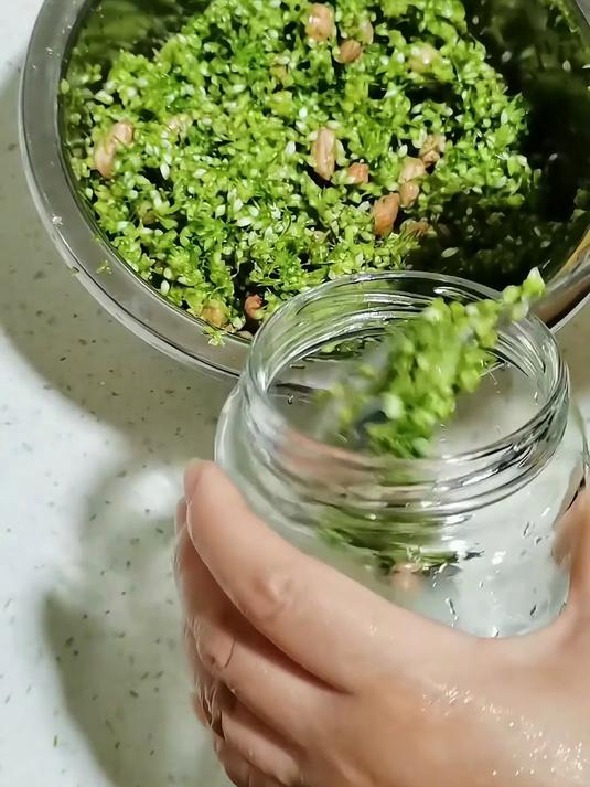 锡林郭勒来的 “鲜”!大颗粒野韭菜花酱,涮肉拌面香到舔盘