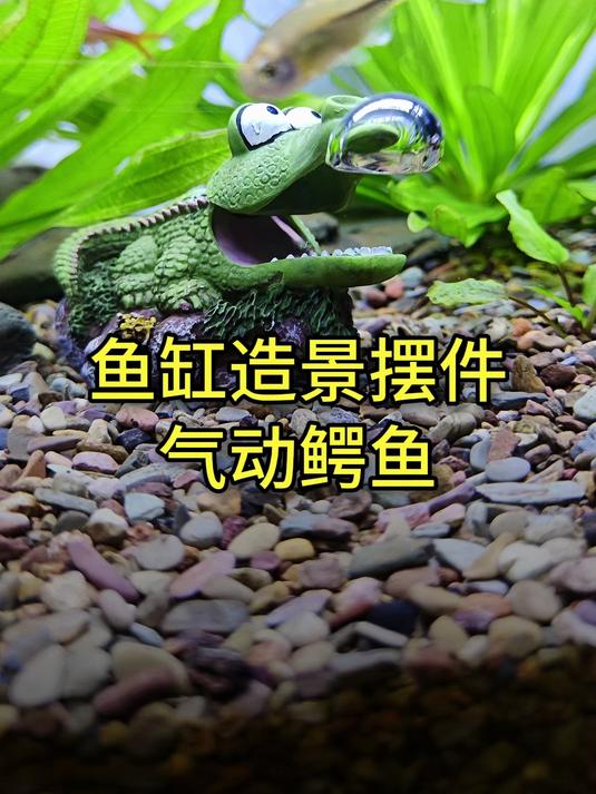 看鳄鱼吐泡泡~,鱼小刚鱼缸气动造景摆件系列之鳄鱼