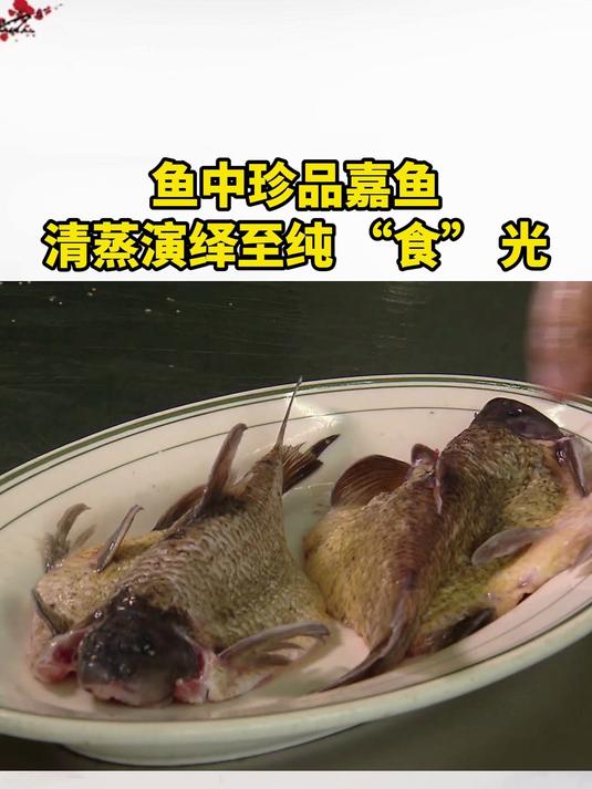 鱼中珍品嘉鱼,清蒸演绎至纯 “食” 光