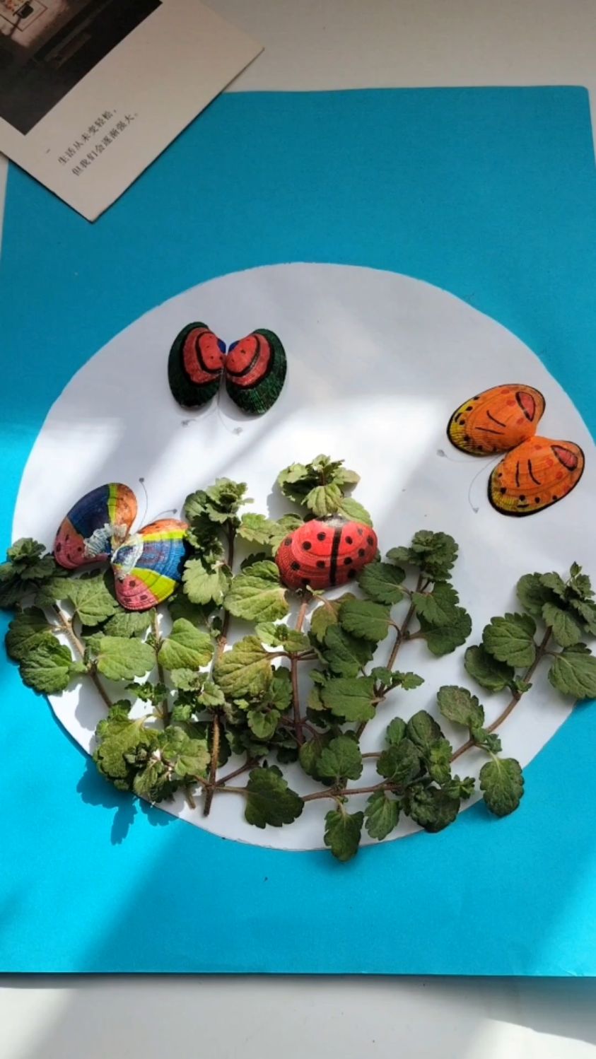 吃完的花甲壳先别丢,陪孩子做个蝴蝶贴画玩玩吧