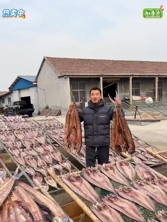 渔场晾晒的刀鲅鱼干肉厚紧实红烧油炸下酒又下饭#海鲜原产地
