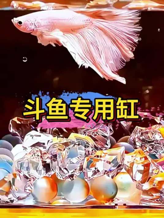 斗鱼桌面缸用专用亚克力,轻松养鱼不是梦
