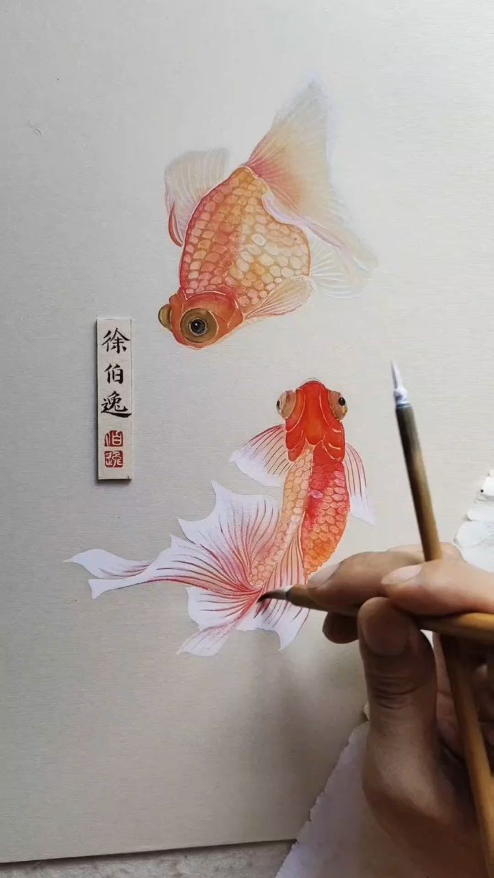 画一对悠闲自在的金鱼
