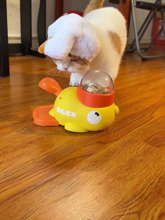 宠物跨境喂食器 小黄鸭网红智能投食机