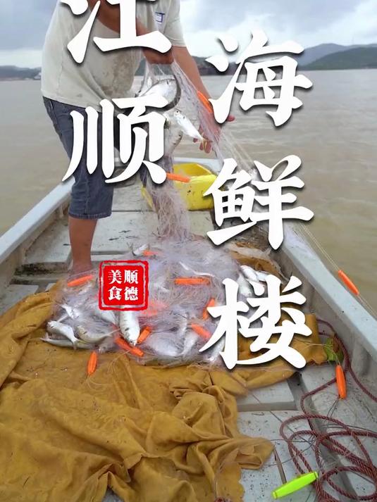 寻味顺德:江顺海鲜楼