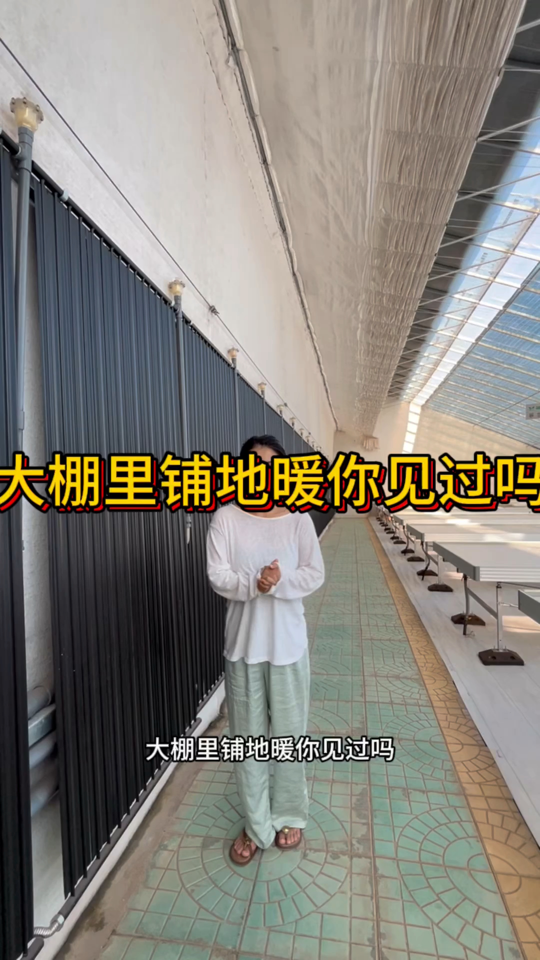 大棚里面铺地暖你见过吗