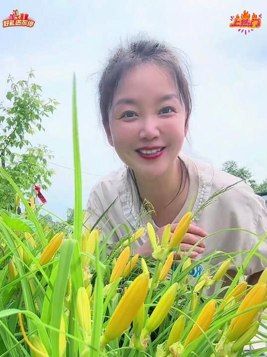 今年的头茬黄花菜干,不仅可以煲汤还能炒菜,带着淡淡的香味