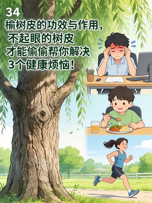 榆树皮的功效与作用，不起眼的树皮竟能偷偷帮你解决3个健康烦恼！