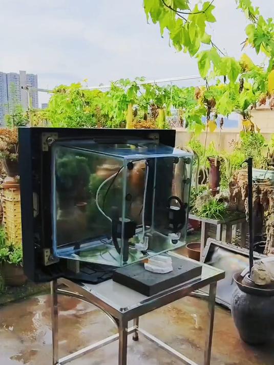废旧电视机外壳拆下来做鱼缸,这个变废为宝可太有创意了