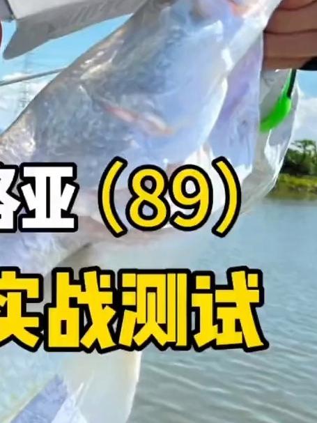 澳卡银鲈马口路亚竿UL快调枪直柄套装新手小白路亚竿钓鱼装备