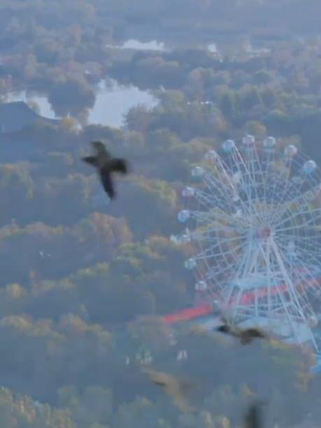 《铭记历史 唱响和平》纪念中国人民抗日战争暨世界反法西斯战争胜利80周年合唱音乐会 邀您见