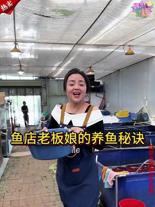 家里养鱼的秘诀一定不能错过