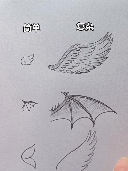 简笔画:翅膀怎么画