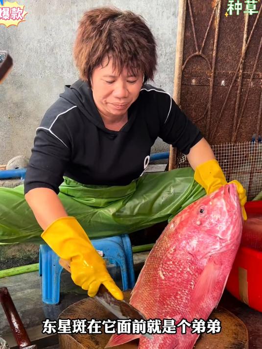 大块大红鱼干净无杂质,咸淡适中,海边风味十足#大红鱼干##百家号618现金奖励带货挑战赛#