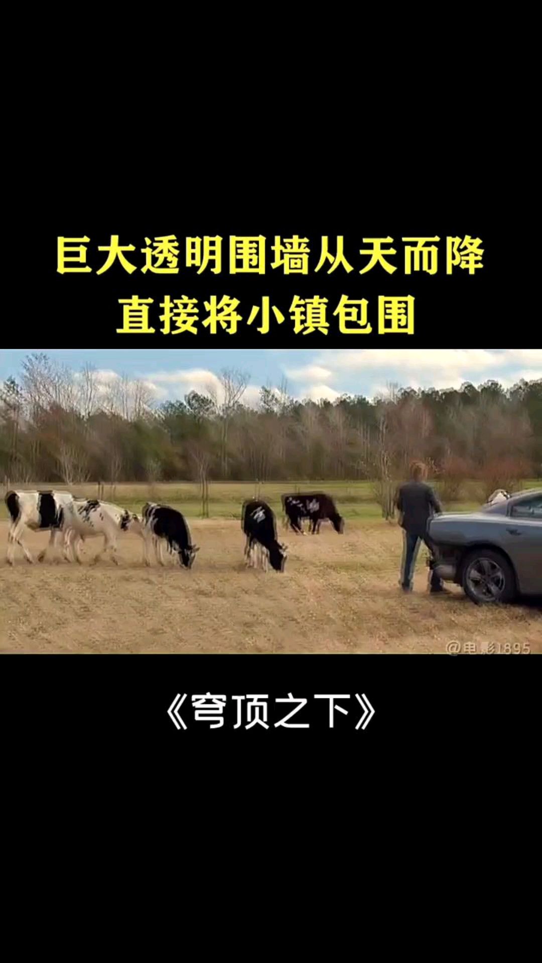 巨大玻璃墙直接砸下来所有东西一分为二