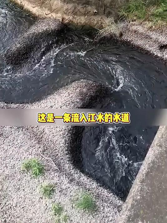 科普为鱼修建的河道草地上的黑色小球是用来干什么的