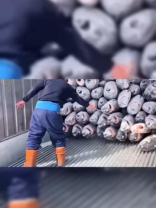 被低估的宝藏食材!金枪鱼罐头解锁三明治新吃法,早餐幸福感拉满