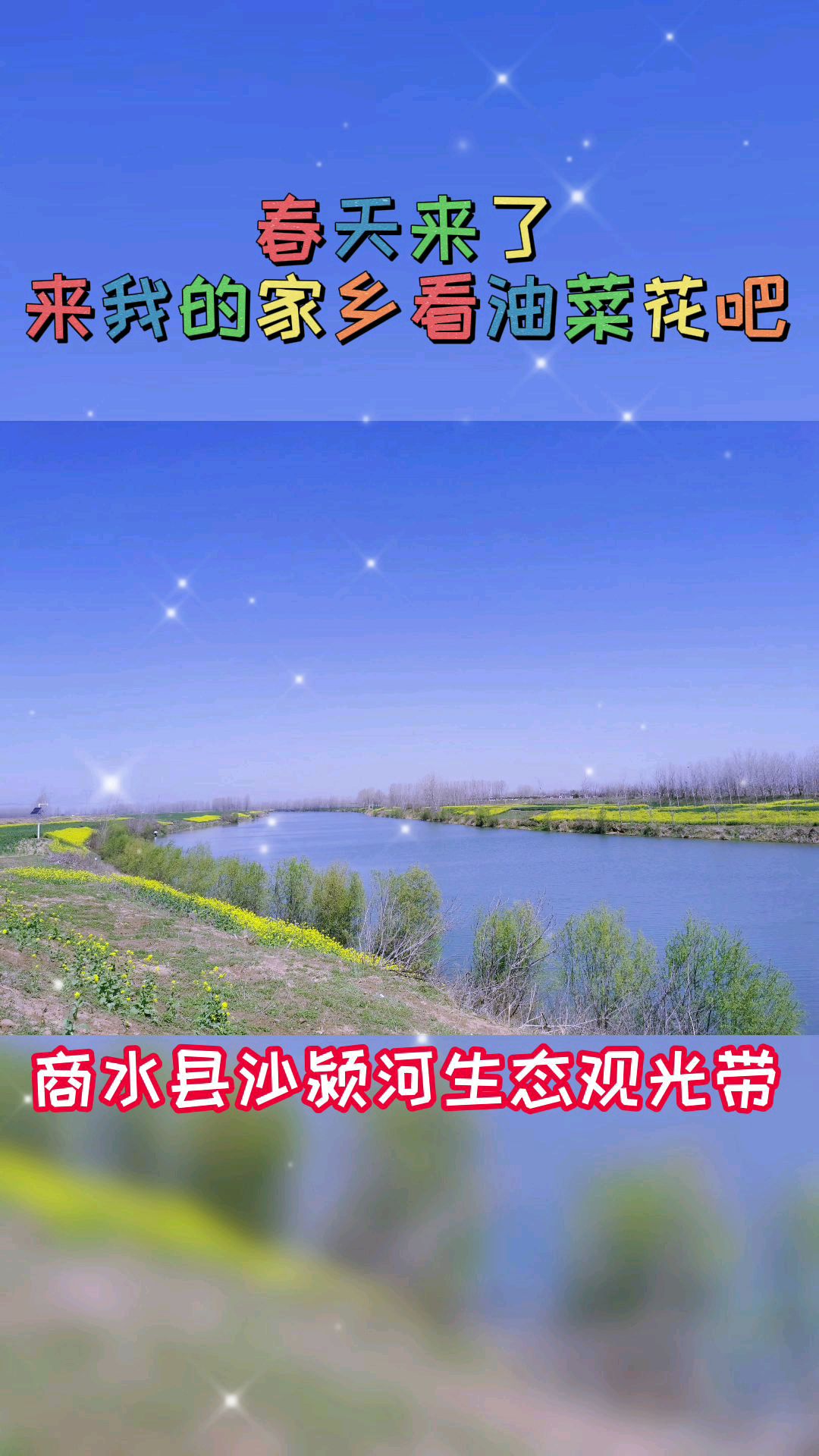 春天来了,来我的家乡看油菜花吧