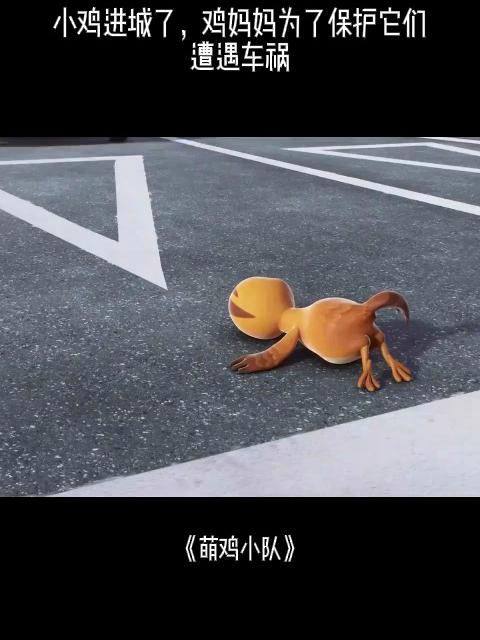 萌鸡小队:小鸡进城了,鸡妈妈为了保护它们,遭遇车祸