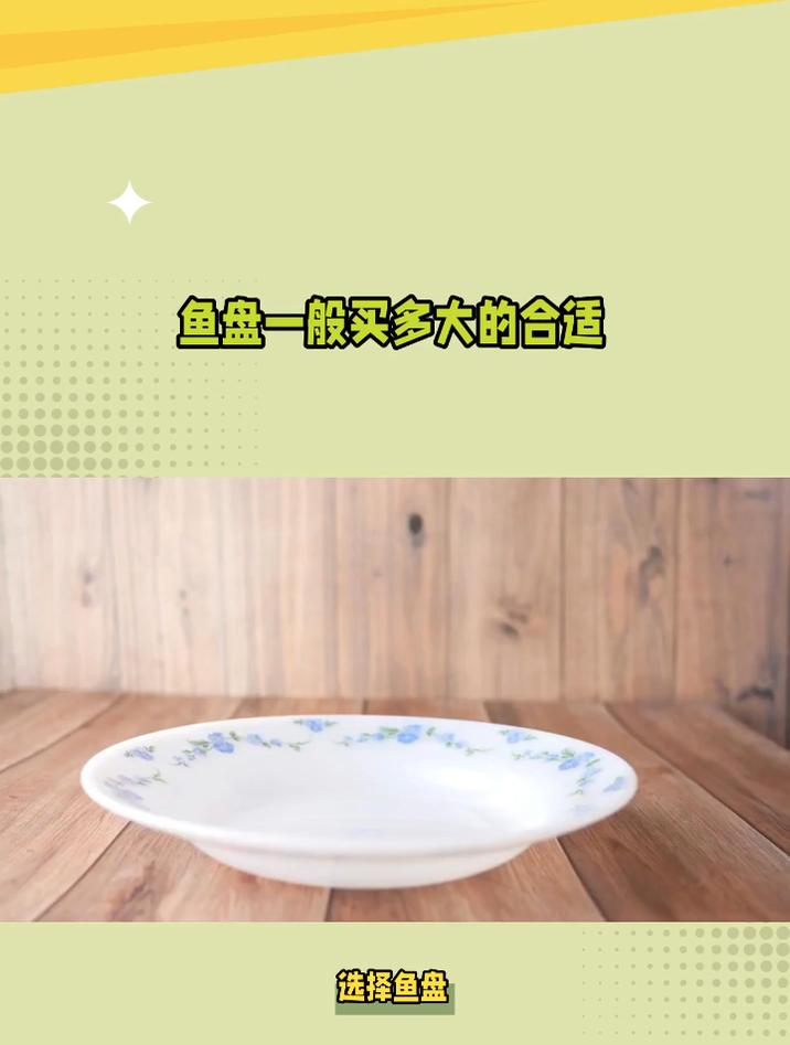 鱼盘一般买多大的合适