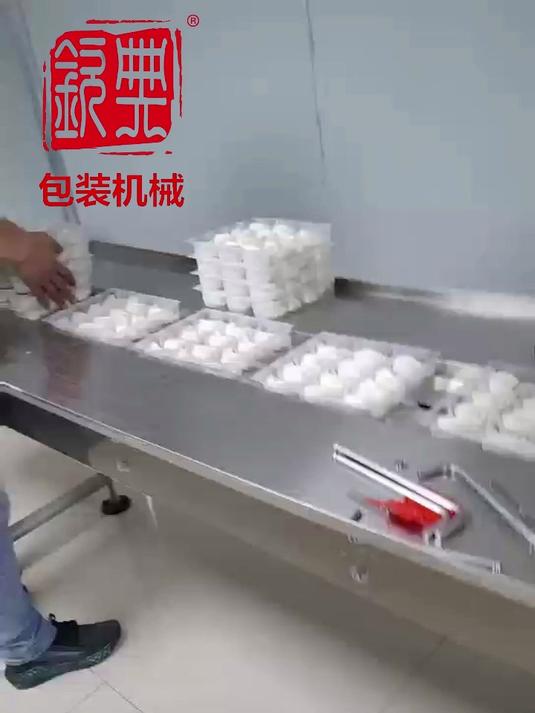 托盒锅贴枕式包装机