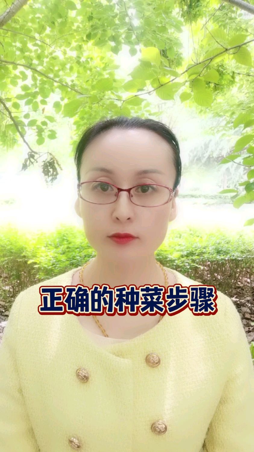 正确的种菜步骤