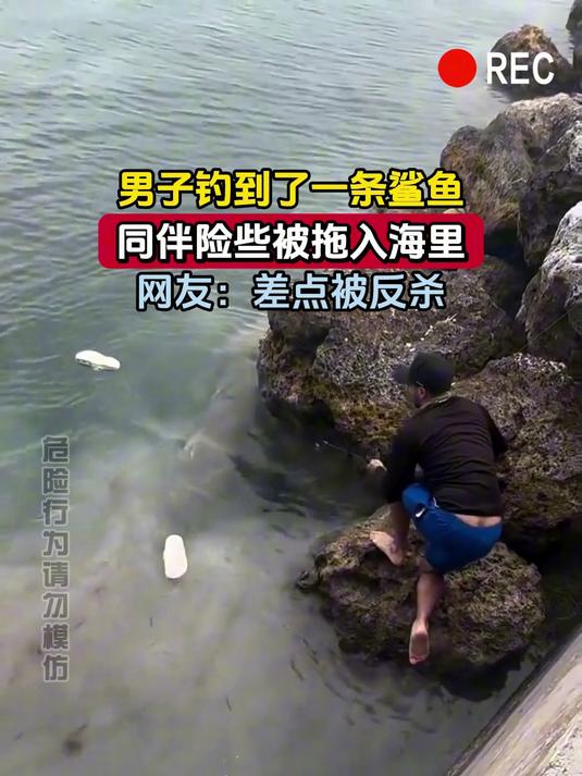 男子钓到了一条鲨鱼,同伴险些被拖入海里,网友:差点被反杀
