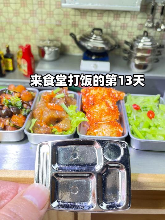 来食堂打饭的第13天