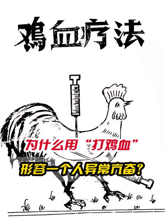 形容一个人异常亢奋时,为什么会说他是“打了鸡血”?涨知识了!